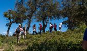 Trail Walking Roquebrune-sur-Argens - REV Château Vaudois les petites Maures - Photo 3