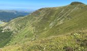 Trail Walking Pailherols - Pailherols  route de la montagne, plomb du Cantal - Photo 1