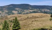 Trail Walking Storckensohn - 2022-07-16 Marche Auberge Gazon Vert Chapelle des Ves - Photo 4