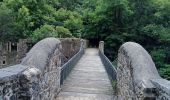 Excursión Carrera Quintenas - roche Péréandre, pont suspendu circuit  - Photo 4