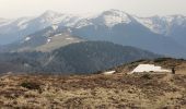 Randonnée Marche Portet-d'Aspet - Le Puech et cabane de Piejeau en boucle - Photo 2