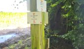 Trail Walking Ciney - Conjoux 300724 - Photo 14