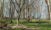 Trail Walking Fleurus - Baulet - Photo 4