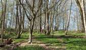 Trail Walking Fleurus - Baulet - Photo 4