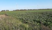 Randonnée Marche Pont-à-Celles - Buzet - Rosseignies - Obaix - Buzet - Photo 9