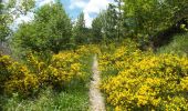 Trail Walking Boulc - 2018-06-09 Diois - La Pare - Photo 4