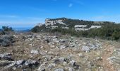 Randonnée Marche Plan-d'Aups-Sainte-Baume - Dent de la Roque Forcade après reco  - Photo 10