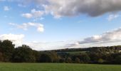 Tour Wandern Anthisnes - hody . hestreux . targnon . hody - Photo 4