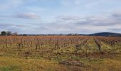 Excursión Marcha nórdica Le Puech - Les Vailhés - Laulo- L'Auverne 15 Février 2023 - Photo 4