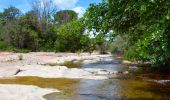 Excursión Senderismo Le Muy - SityTrail - les p'tits étangs de Palayson - Photo 17