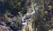 Trail Walking Embrun - torrent sainte Marthe  - Photo 6
