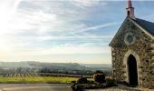 Excursión Senderismo Orée-d'Anjou - De la Turmelière au Champalud - Photo 5