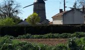 Randonnée Marche Doué-en-Anjou - Doué-la-Fontaine  - Photo 4