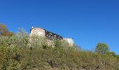 Randonnée Marche Pignols - château La Chaux Montgros_T - Photo 3