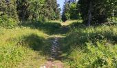 Trail Walking Autrans-Méaudre en Vercors - la Buffe - Photo 6