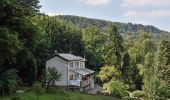 Tour Zu Fuß Befort - BH Saueruecht Hiking Tour - Photo 4