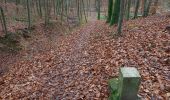 Percorso A piedi Lussemburgo - Promenade érable - Photo 10