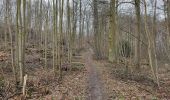 Tocht Stappen Viroflay - Les haras de Jardy et le mémorial Lafayette - Photo 20