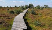 Tour Wandern Spa - La forêt et les fagnes - Photo 8