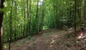 Percorso Marcia Notre-Dame-de-Bondeville - Randonnée en forêt Domaniale de Normandie - Photo 1