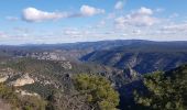 Trail Nordic walking Saint-Guilhem-le-Désert - St Guilhem Via Tolosana Max Nègre 21 janv 2023 - Photo 10