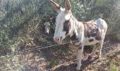 Tour Wandern Celles - autour du salagou - Photo 5
