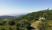 Trail Walking Colombier - 42-st-sabin-pilat-18km-610m-juil21 - Photo 3