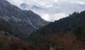 Tour Wandern Castellar - Le Grand Mont (1379m) - Photo 1