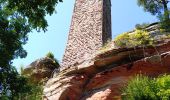 Tour Wandern Philippsburg - Étang de Hanau / Circuit de découverte  - Photo 12