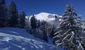 Tocht Ski randonnée Saint-Pierre-d'Entremont - la Scia par le Planolet - Photo 2