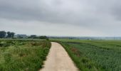 Tocht Paardrijden Walcourt - Mertenne/bois de la Baronne/Rognée - Photo 1