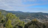 Trail Walking La Farlède - La farlède-plateau de Mourras-Sollies ville-La farlède - Photo 8