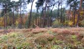 Excursión Senderismo Oud-Heverlee - Sint Joris WEERT 14,9 Km  - Photo 6