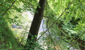 Tocht Stappen Durbuy - Bomal sur Ourthe 170625 - Photo 4