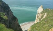 Tocht Stappen Étretat - Etretat - Yport par le GR 21 - Photo 7