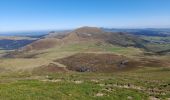 Tour Wandern Chambon-sur-Lac - col de la Croix Morand - Le Sancy - Capucin - La Bourboule - Photo 19