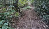 Randonnée Marche Azé - Azé - Bois et Champs - Photo 16
