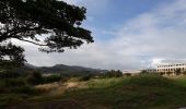 Excursión Senderismo Le François - Stade du François-pointe Degras en boucle - Photo 20