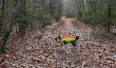 Tour Wandern Léglise - Bombois - Photo 11