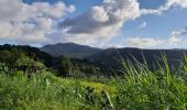 Excursión Senderismo Le Lorrain - Boucle Valon -  Moreau - Ceron - Photo 15