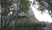 Tour Zu Fuß Vins-sur-Caramy - Vins sur Caramy lac ste Suzanne grotte des résistants... - Photo 13