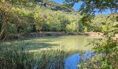 Tour Wandern Méounes-lès-Montrieux - Meounes les Montrieux-Lac - Photo 3