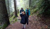 Randonnée Marche Saint-Nizier-du-Moucherotte - Le bois de la Plagne- St Nizier du Moucherotte - Photo 11