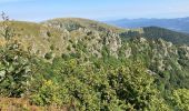 Trail Walking La Bresse - Autour du Hohneck - Photo 2