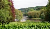 Randonnée A pied Blieskastel - Niederwürzbacher-Weiher-Tour - Photo 8