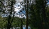 Tour Wandern Quimperlé - Forêt de Carnoët  - Photo 3