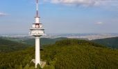 Percorso A piedi Gemeinde Klosterneuburg - Rotes Kreuz/Exelberg - Dreimarkstein/Häuserl am Roan - Photo 5