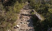 Randonnée Marche Saint-Cézaire-sur-Siagne - Incursion dans le Var et retour depuis Saint Cezaire - Photo 12