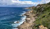 Trail Walking Calvi - Revellata  - Photo 13