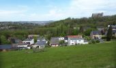 Tocht Stappen Luik - Liège- Nessonvaux - Photo 6